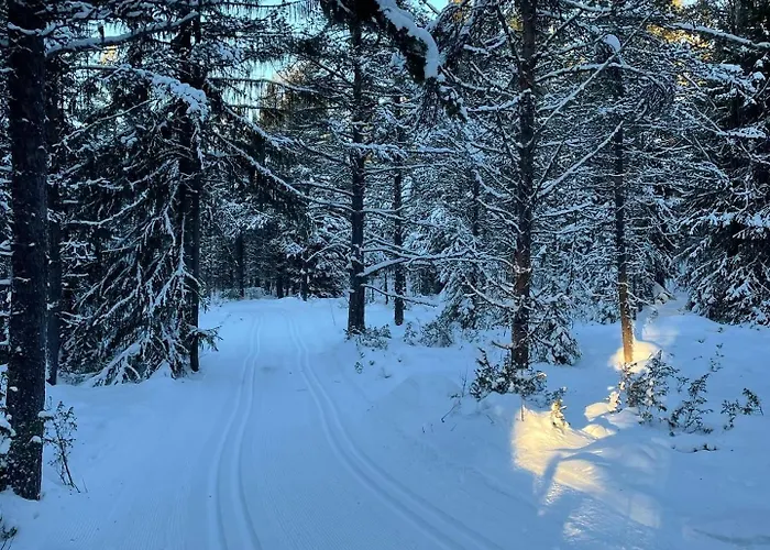 Bjorgebu Camping As